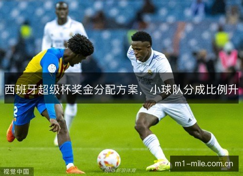 西班牙超级杯奖金分配方案，小球队分成比例升