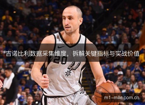 吉诺比利数据采集维度,拆解关键指标与实战价值 吉诺比利数据采集维度,拆解关键指标与实战价值