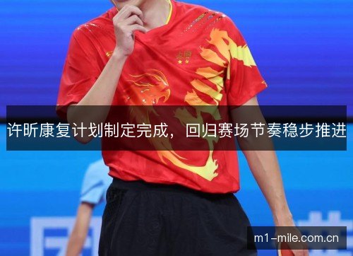 许昕康复计划制定完成，回归赛场节奏稳步推进