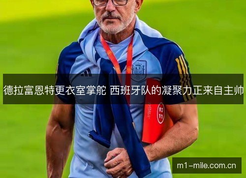 德拉富恩特更衣室掌舵 西班牙队的凝聚力正来自主帅 德拉富恩特更衣室掌舵 西班牙队的凝聚力正来自主帅